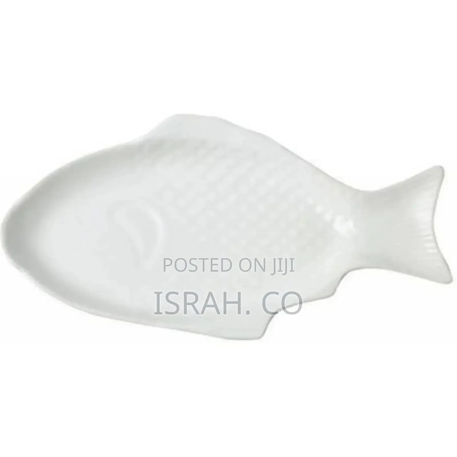 19 Inch Steak, Fish Plate Tray Dinner Platter, Bowl- White
