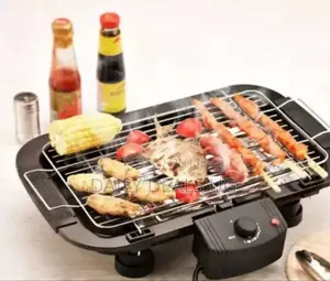Electric BBQ Grill