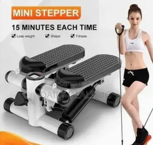 Gym Mini Stepper