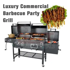 Luxury Commercial Gas and Charcoal BBQ Grill