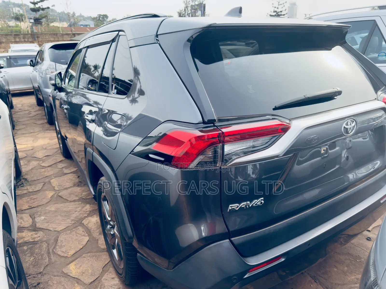 Toyota RAV4 XLE Premium AWD 2019 Gray