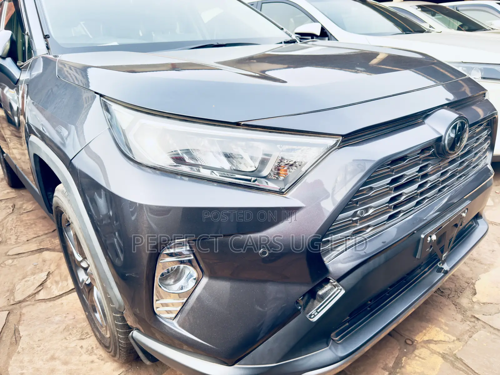 Toyota RAV4 XLE Premium AWD 2019 Gray