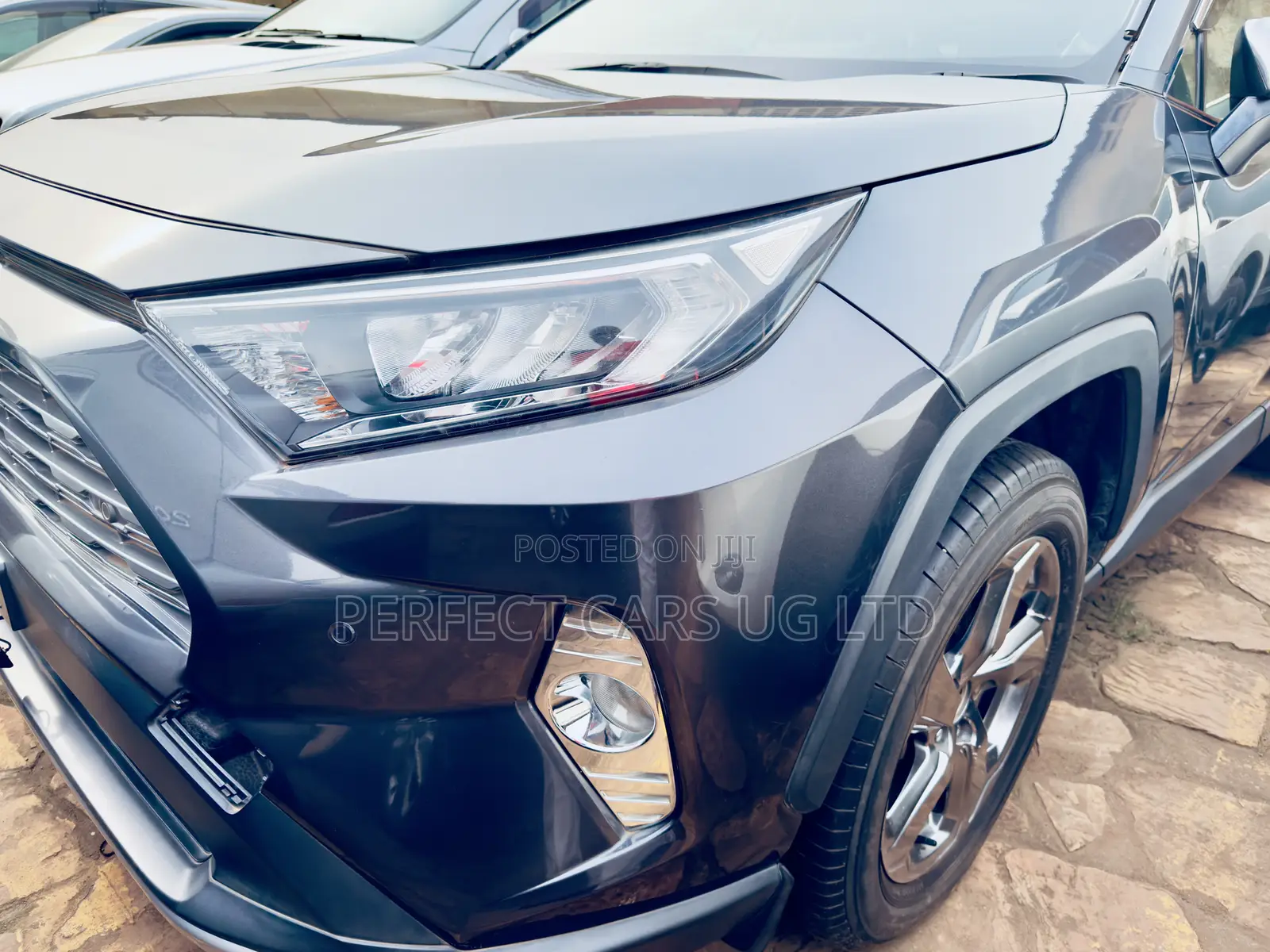 Toyota RAV4 XLE Premium AWD 2019 Gray