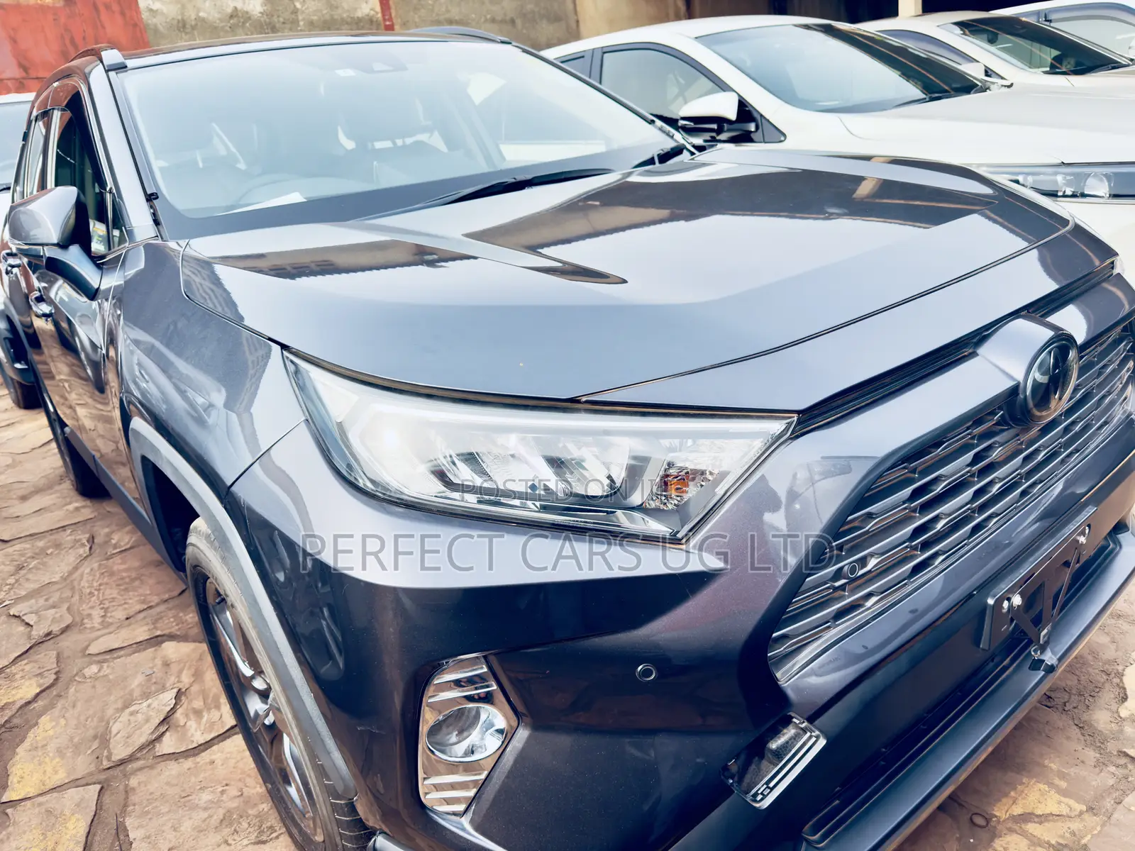 Toyota RAV4 XLE Premium AWD 2019 Gray