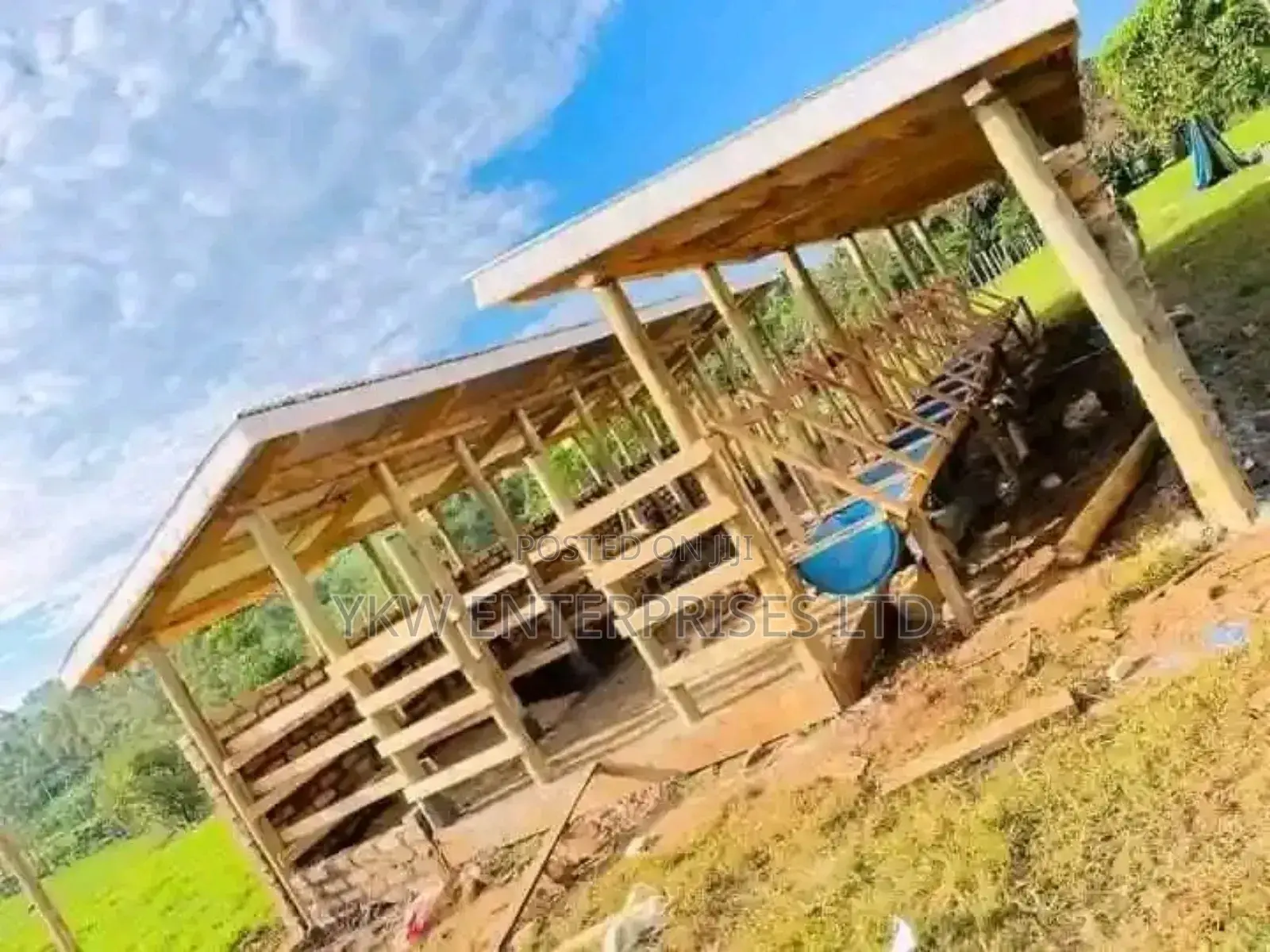 Cattle Sheds and Feedlots