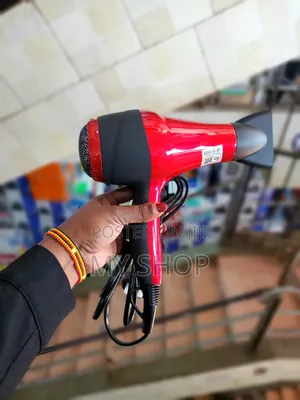 Geepas Dryer