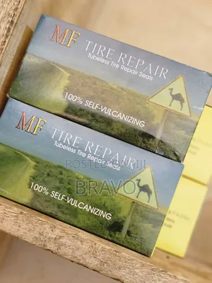 Tubeless Tire Repair Seals
