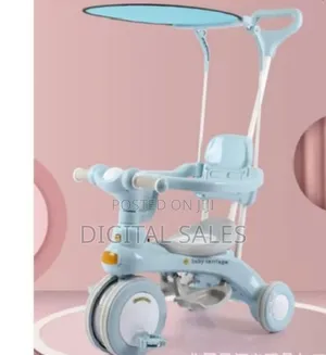 Kids Musical Tricycle