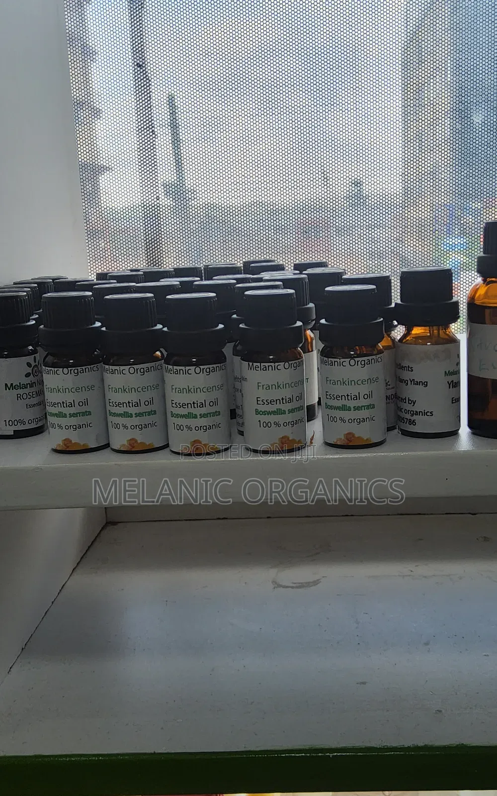 Frankincense Oil
