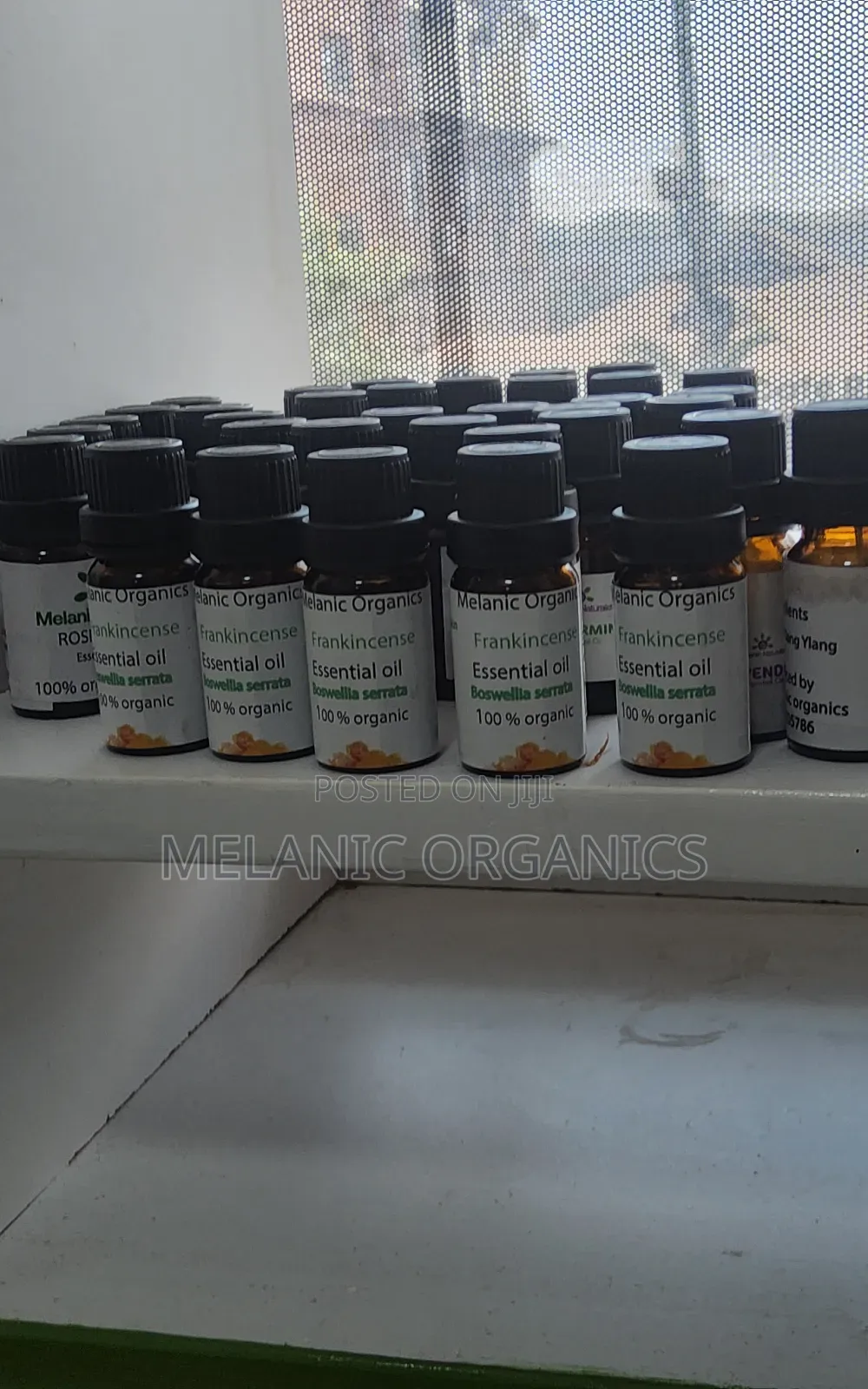 Frankincense Oil