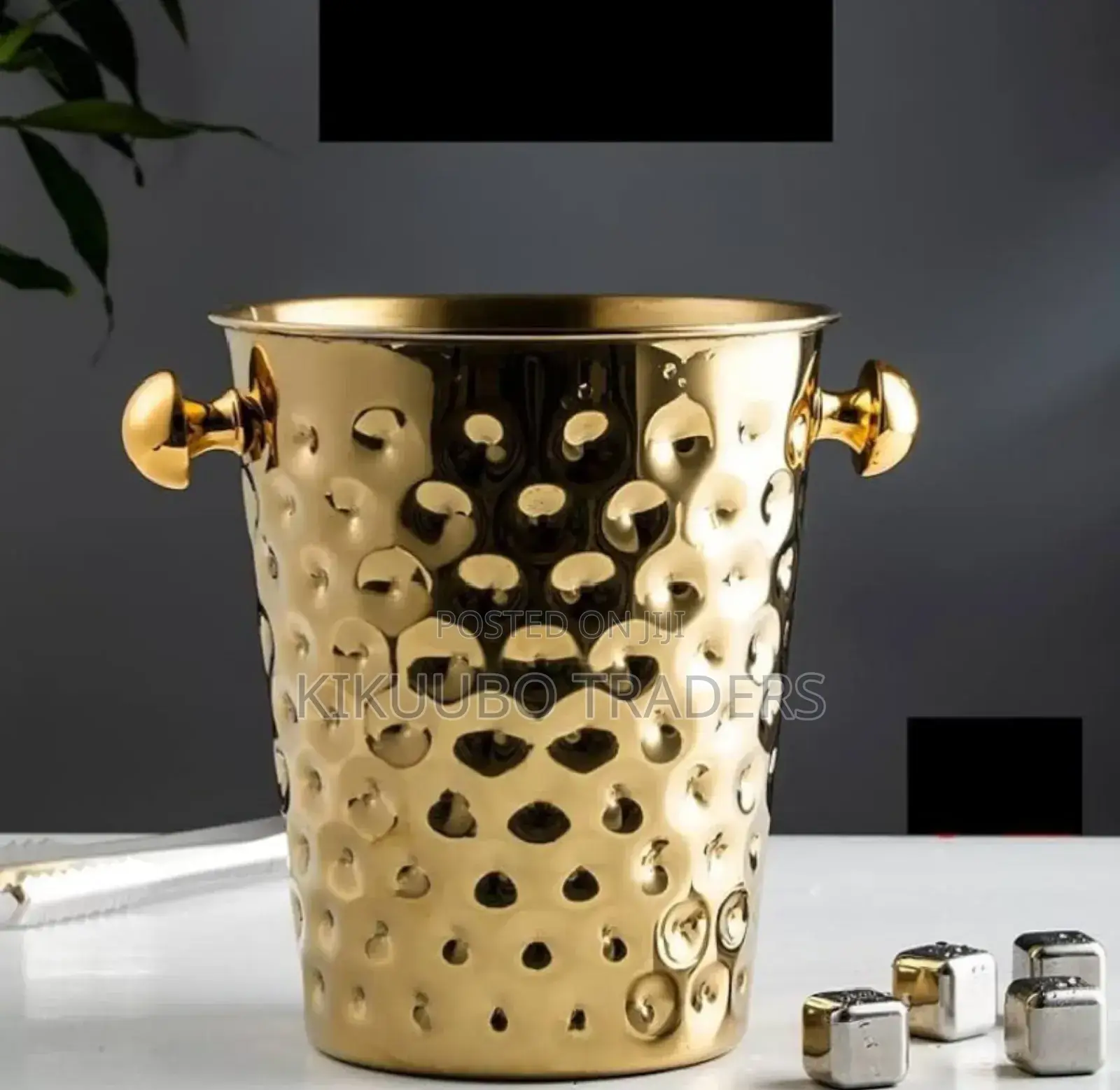 Modern Looks Ice Bucket