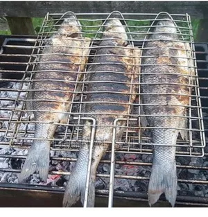 Fish Charcoal Grill Net