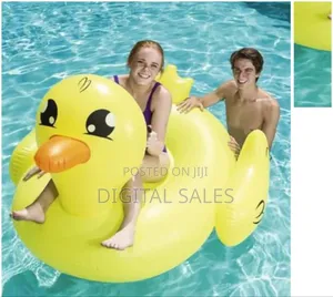 Intex Inflatable Duck Swimming Pool