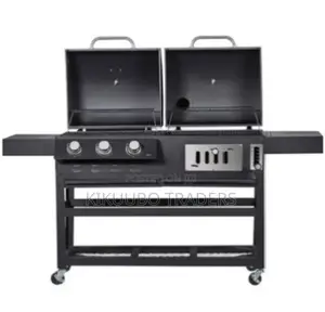 Commercial Charcoal and Gas BBQ Grill