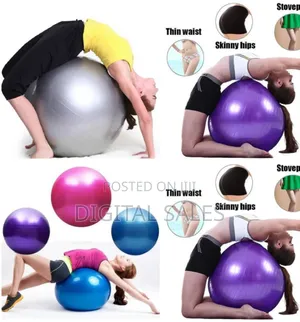 Stability/Exercise Ball