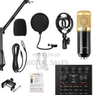 Studio Microphone Anti Vibration Mic