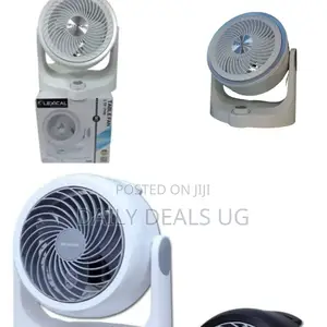 Adjustable Fan