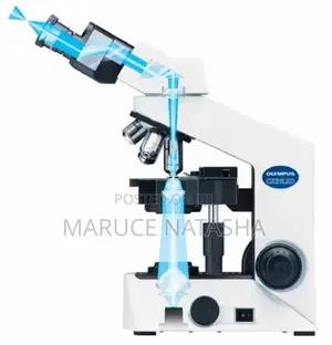 Cx21 Used Olympus Microscope