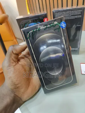 New Apple iPhone 12 Pro 256 GB Gray