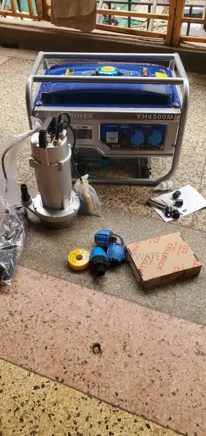 Generator and Submersible Water Pump Full Set