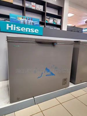 310ltrs Single Door Hisense Commercial Chest Freezer