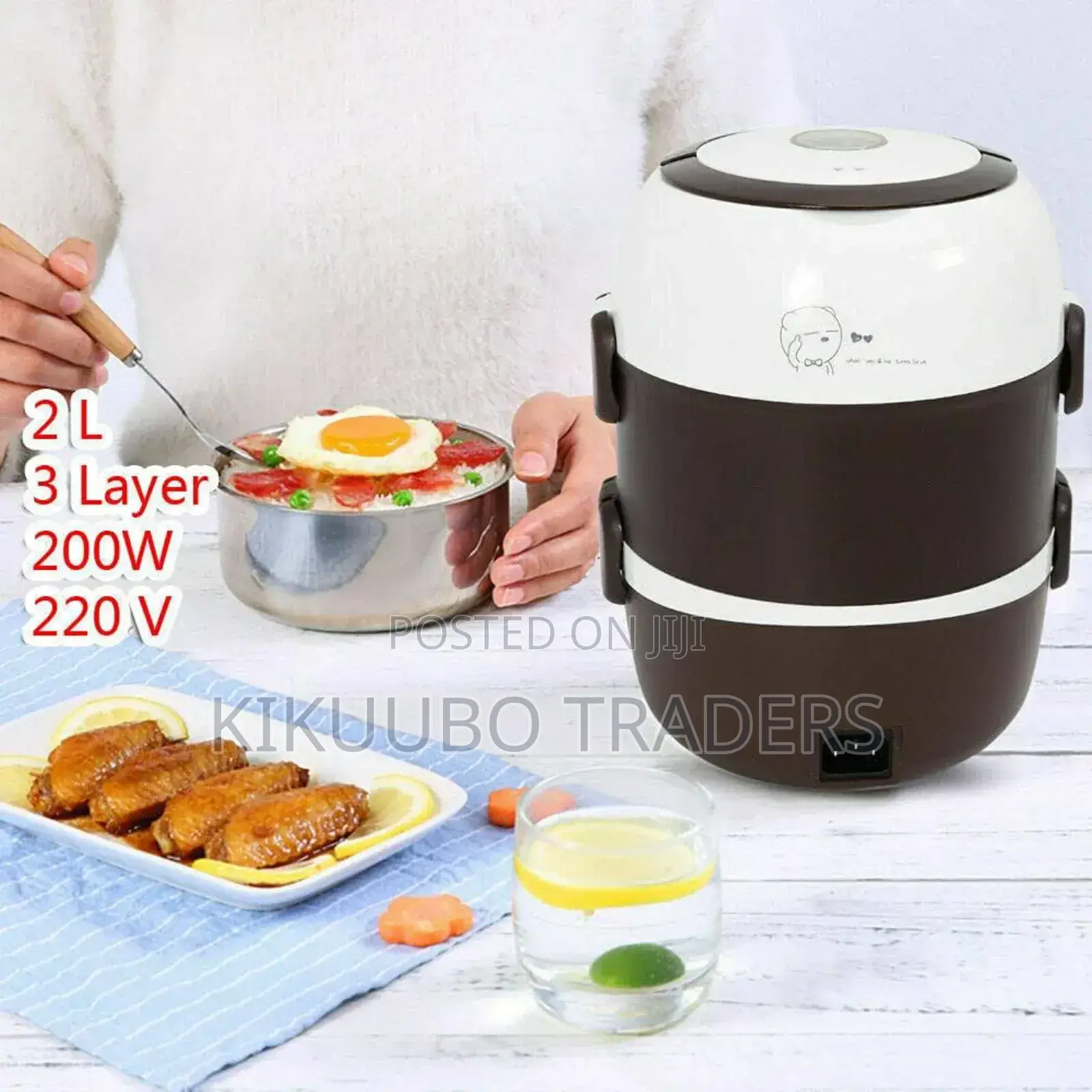 Electric Lunch Box