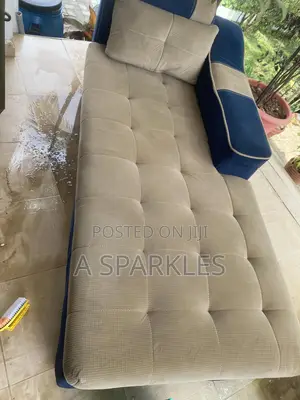 Sofa Set and Elegant Chair Cleaning