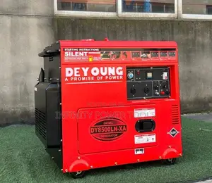Silent Diesel Generator(Deyoung)