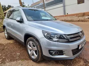 Volkswagen Tiguan 2015 Silver