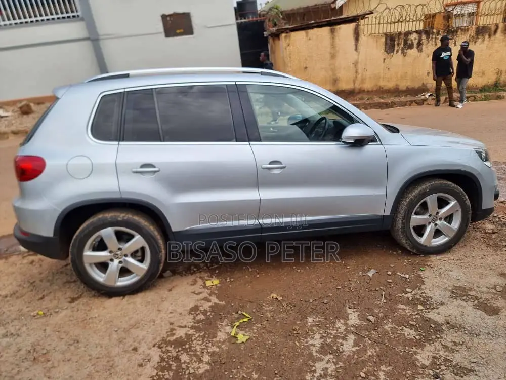 Volkswagen Tiguan 2015 Silver