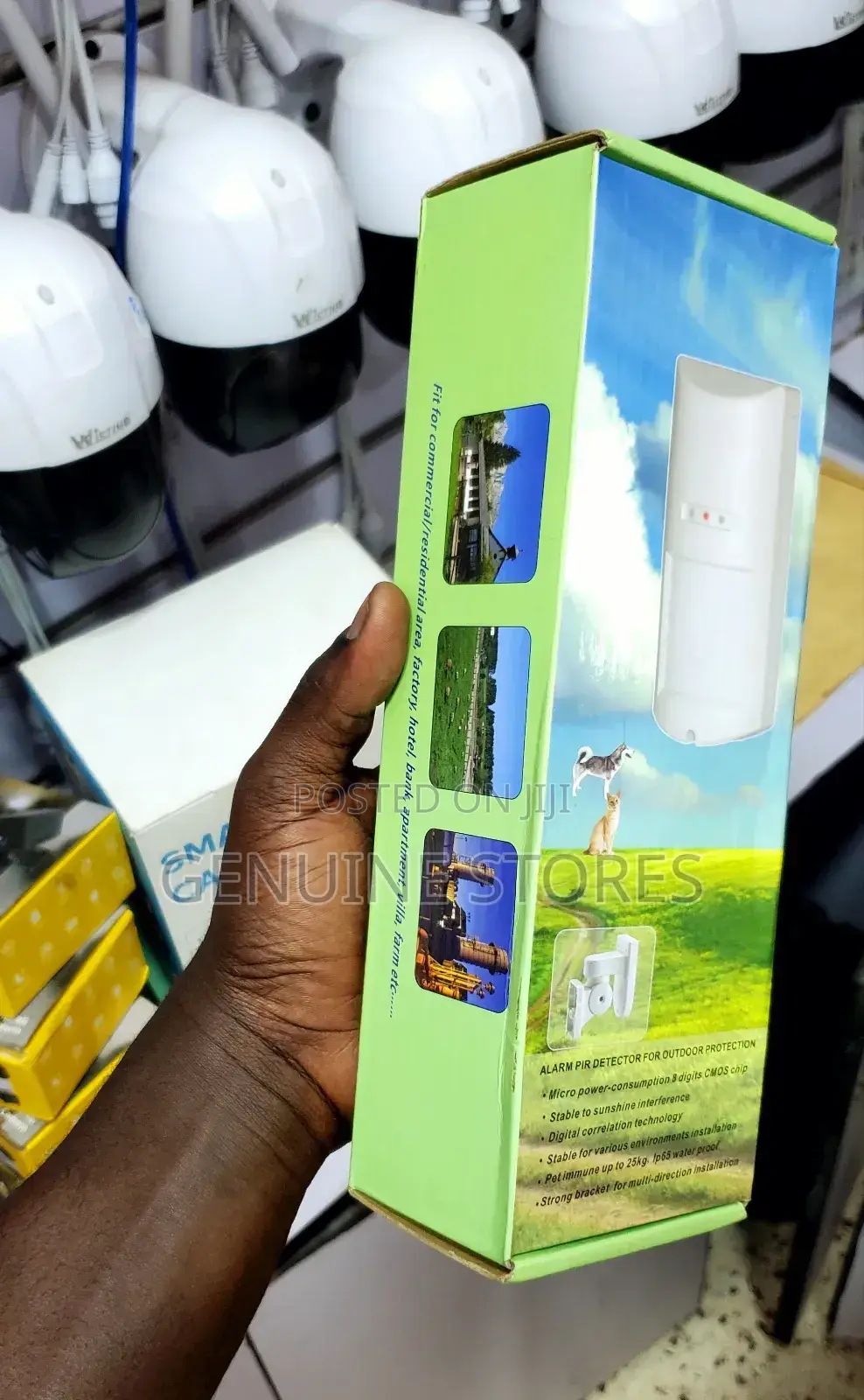 Security Alarm System / Motion Sensor (Indoor)