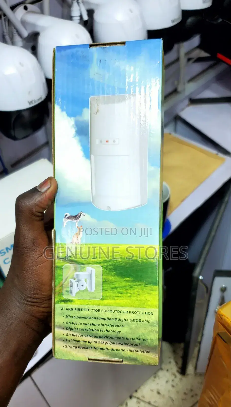 Security Alarm System / Motion Sensor (Indoor)