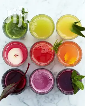 Salton Stainless Steel Juicer 350W
