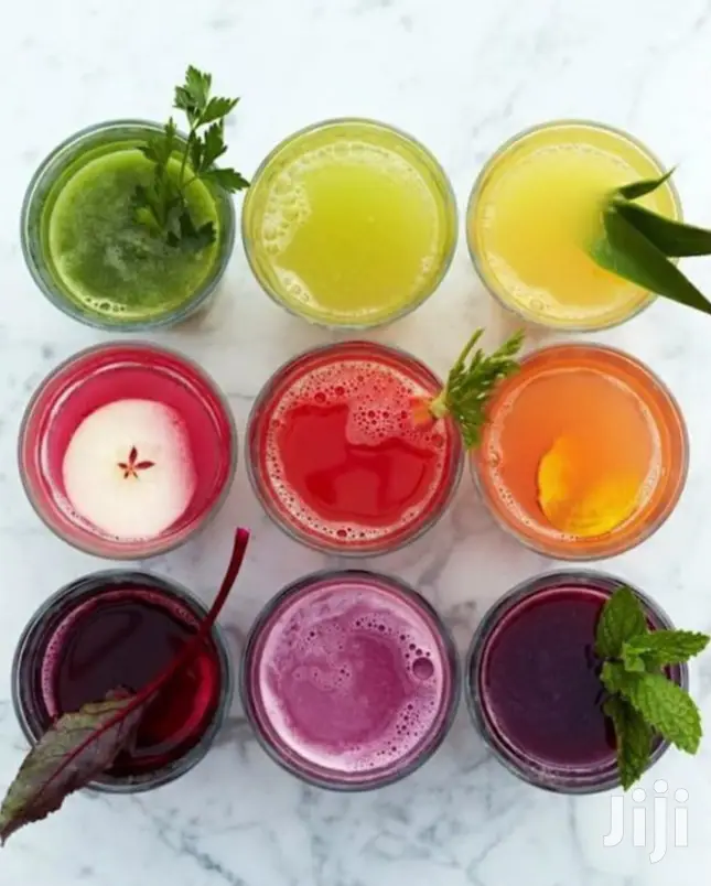 Salton Stainless Steel Juicer 350W