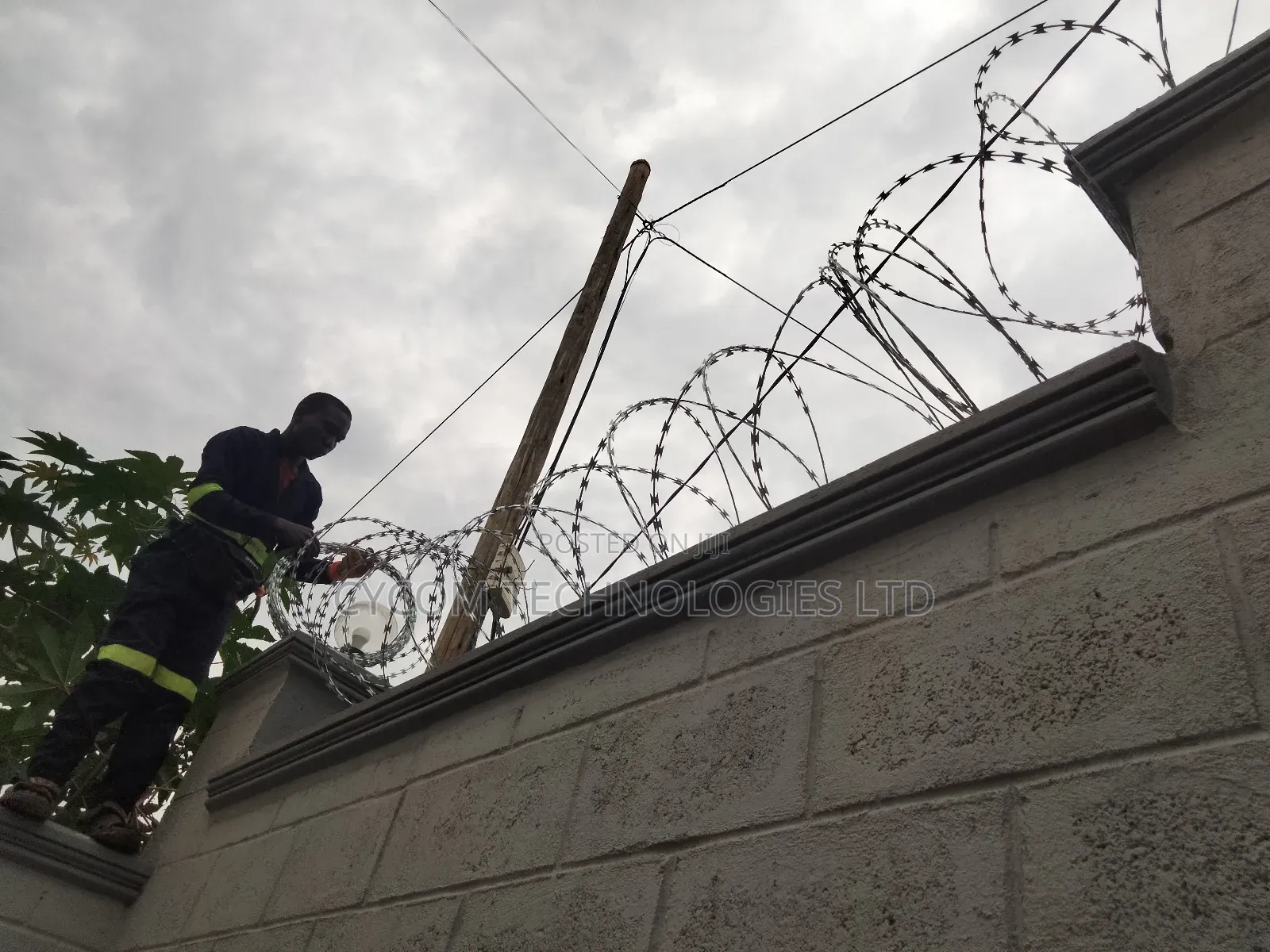 Sekanyolya Lazor Wire