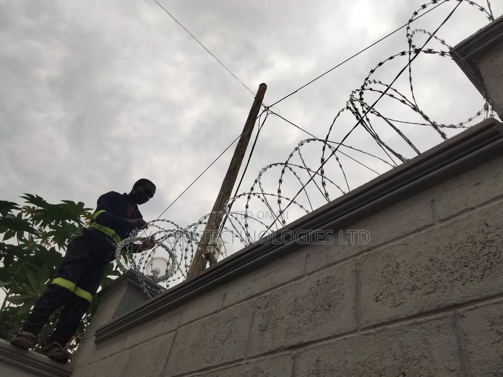 Sekanyolya Lazor Wire