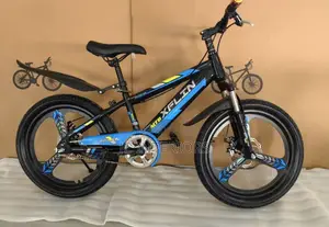 Bicycle for Teanagers