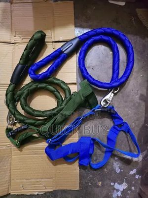 Big Heavy Duty Leaches With Harness