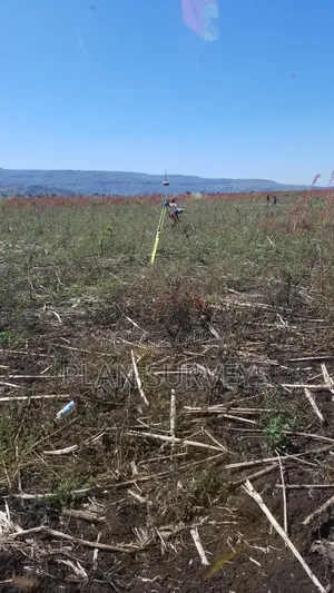 Land Surveyor