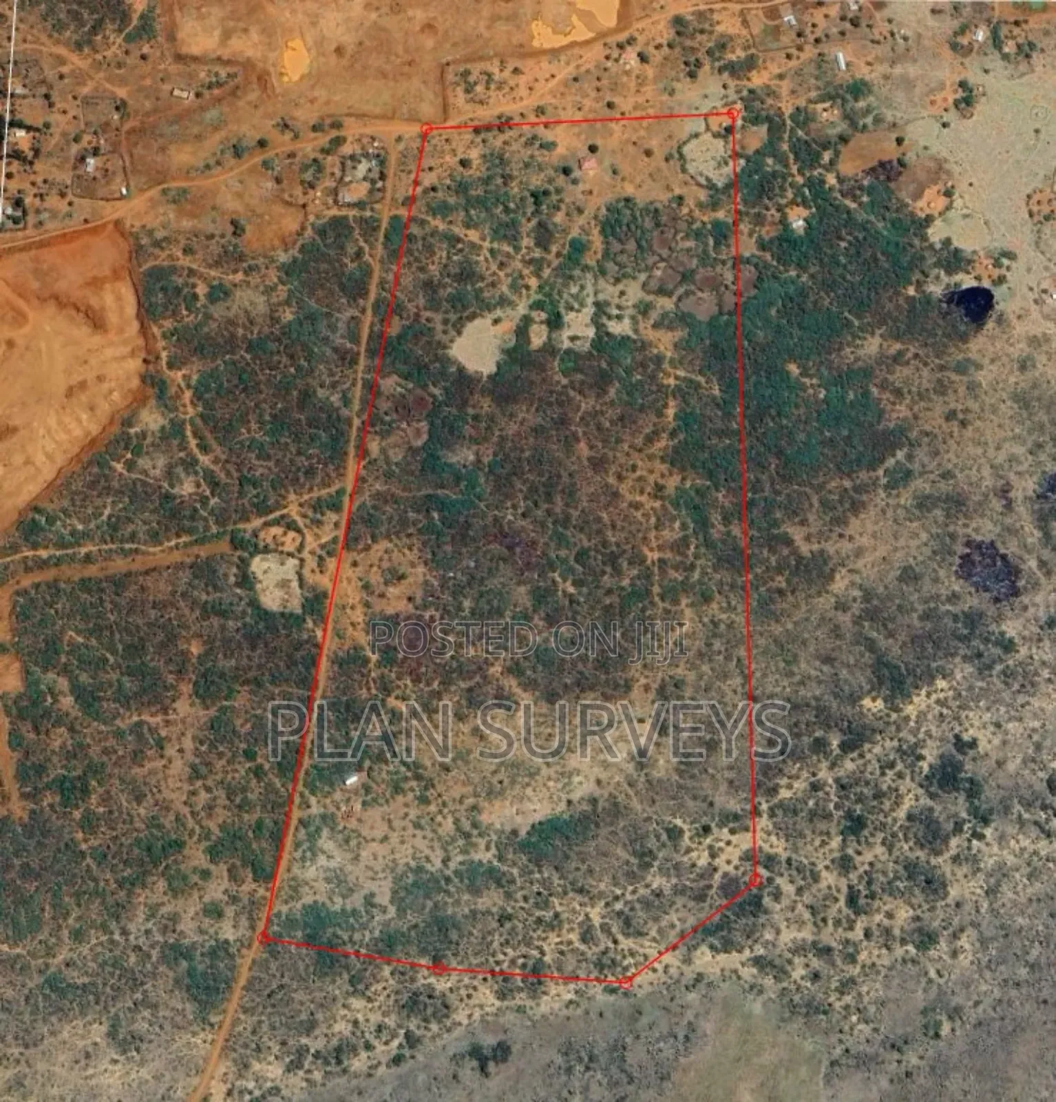 Land Surveyor