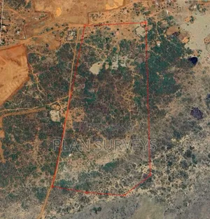 Land Surveyor