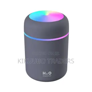 Portable Mini Humidifier