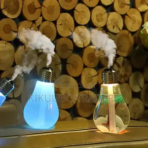 Light Bulb Humidifier
