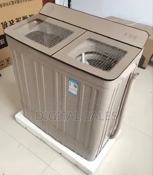 Electric Twin Washing Machine