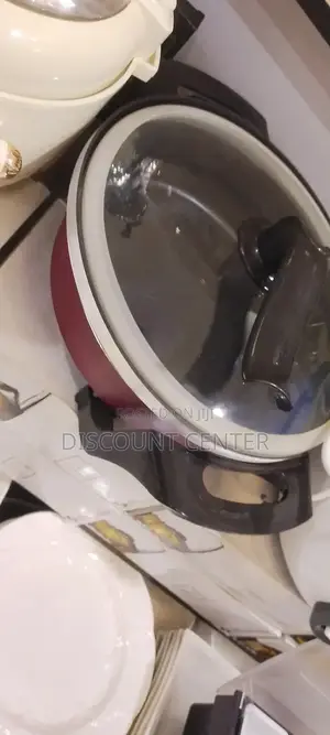 Electric Frying Pan With Steamer