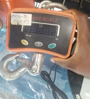 Hanging Weighing Scale 500kgs