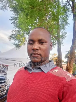 Sales Executive