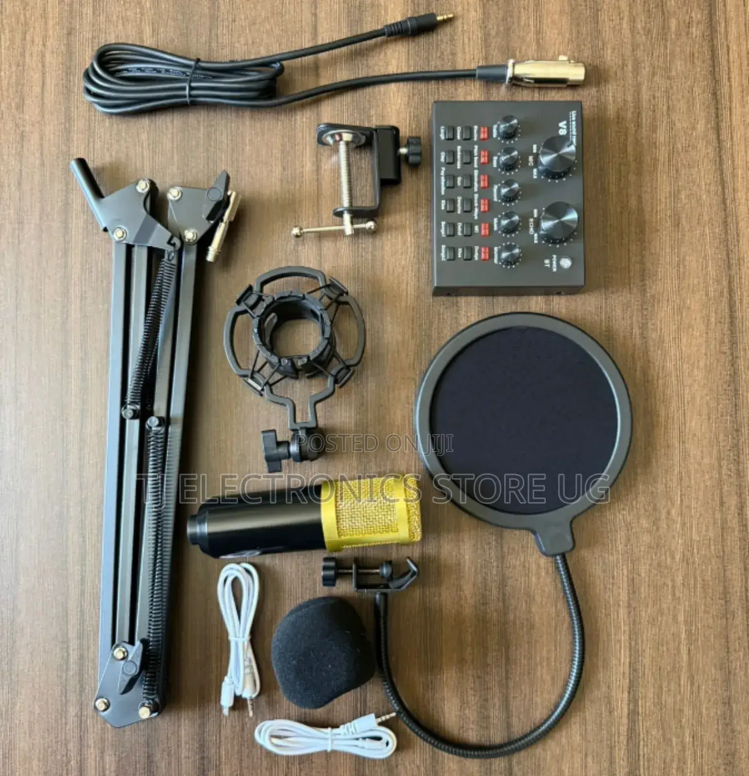 Professional Condenser Microphone