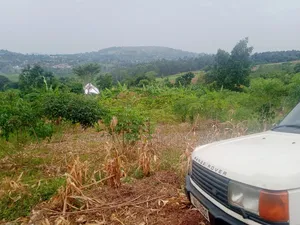 Land in Mpigi 31 Decimals