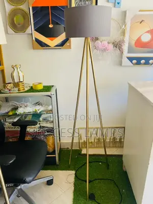 Tripod Floor Lamps